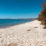 Barreira Beachfront Tents 11